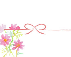 水彩で描いたコスモスの花の熨斗紙