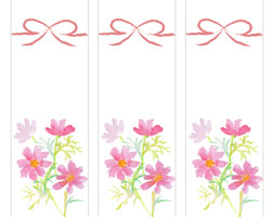 水彩で描いたコスモスの花の短冊熨斗